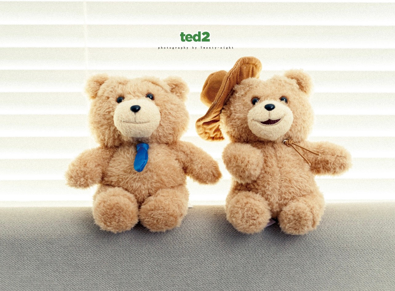 Ted2 bear plush pendant series