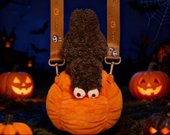 (POP LAND) labubu halloween pumpkin bag